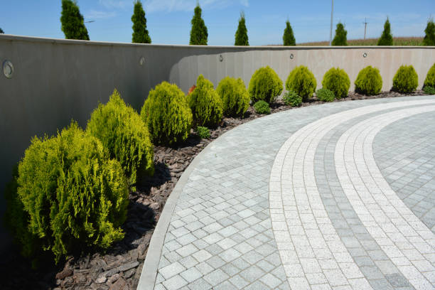 Best Professional Driveway Pavers  in , AZ